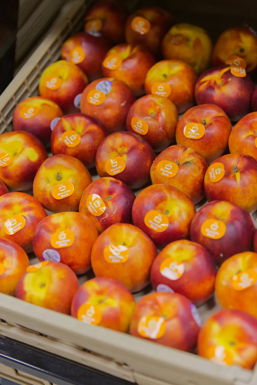 Fruta y verdura fresca del día en Mandado Real
